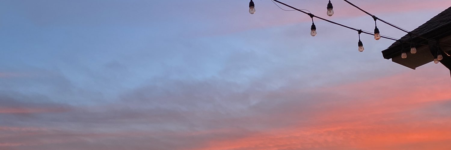 shae_li's profile banner image
