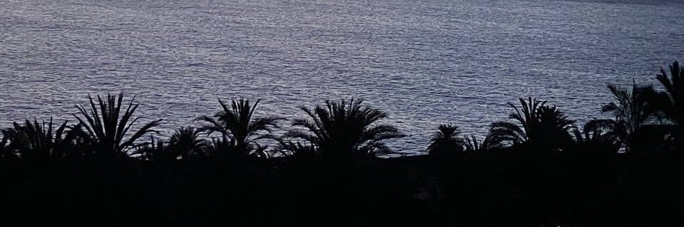 StarBase X 🚀 banner