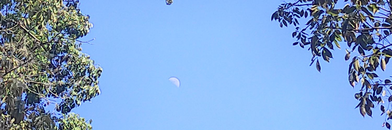 Luisa Torrealba Mesa banner