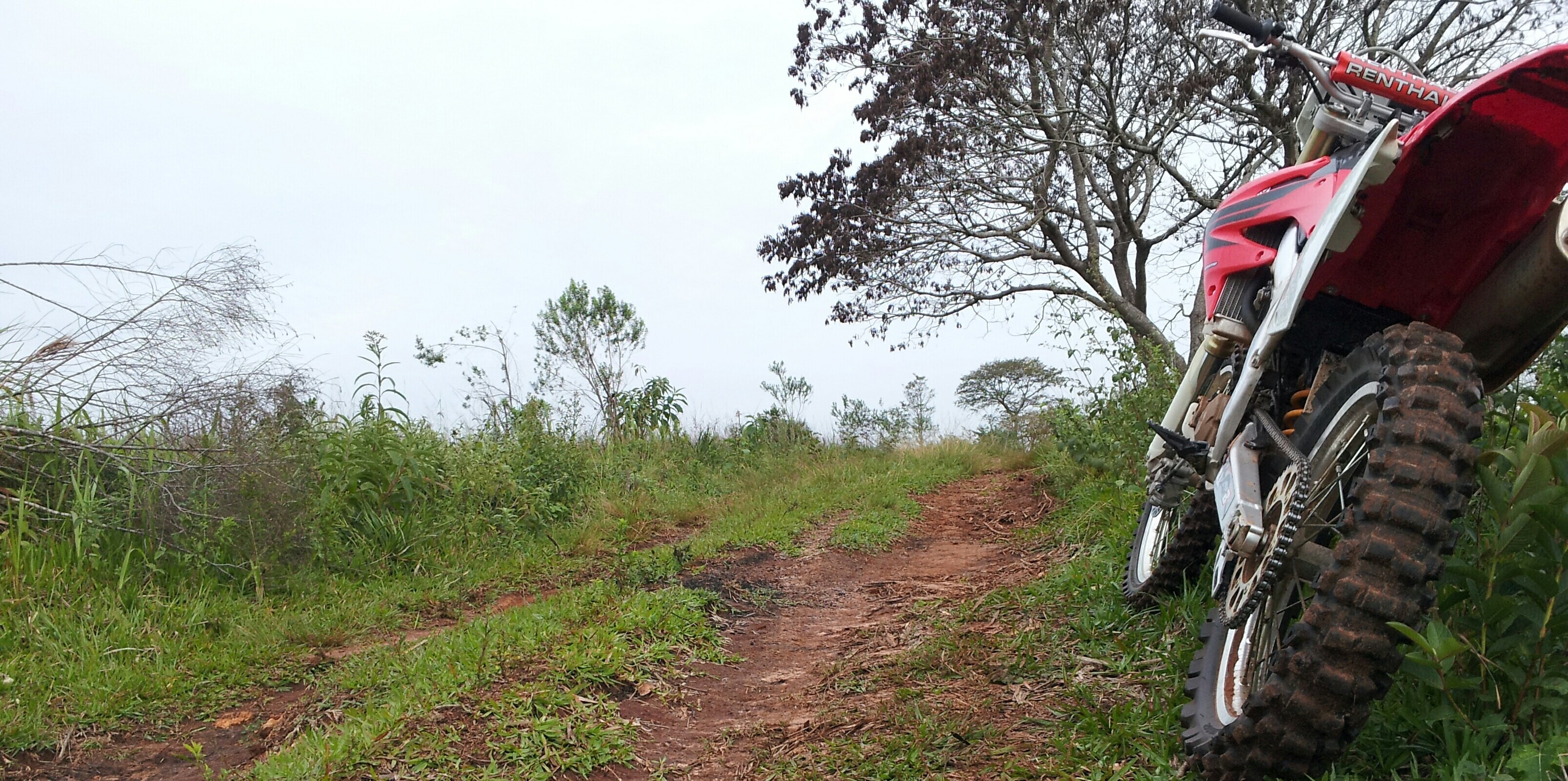 MarecoDerlis's profile banner image