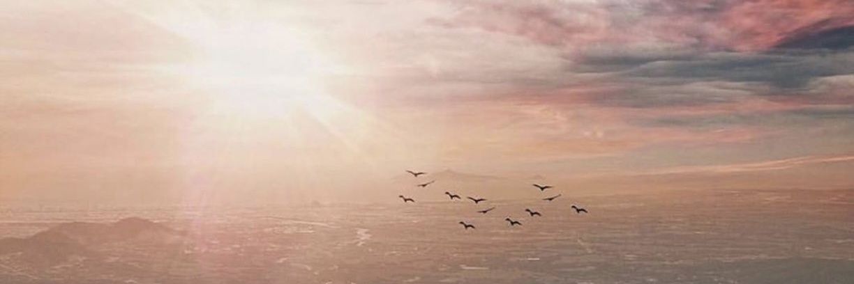 AbiroPrince's profile banner image