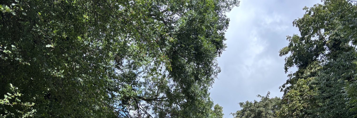 jess banner