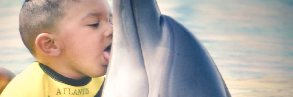 queeflorraine's profile banner image