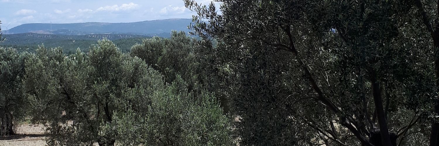 semraalkan_'s profile banner image