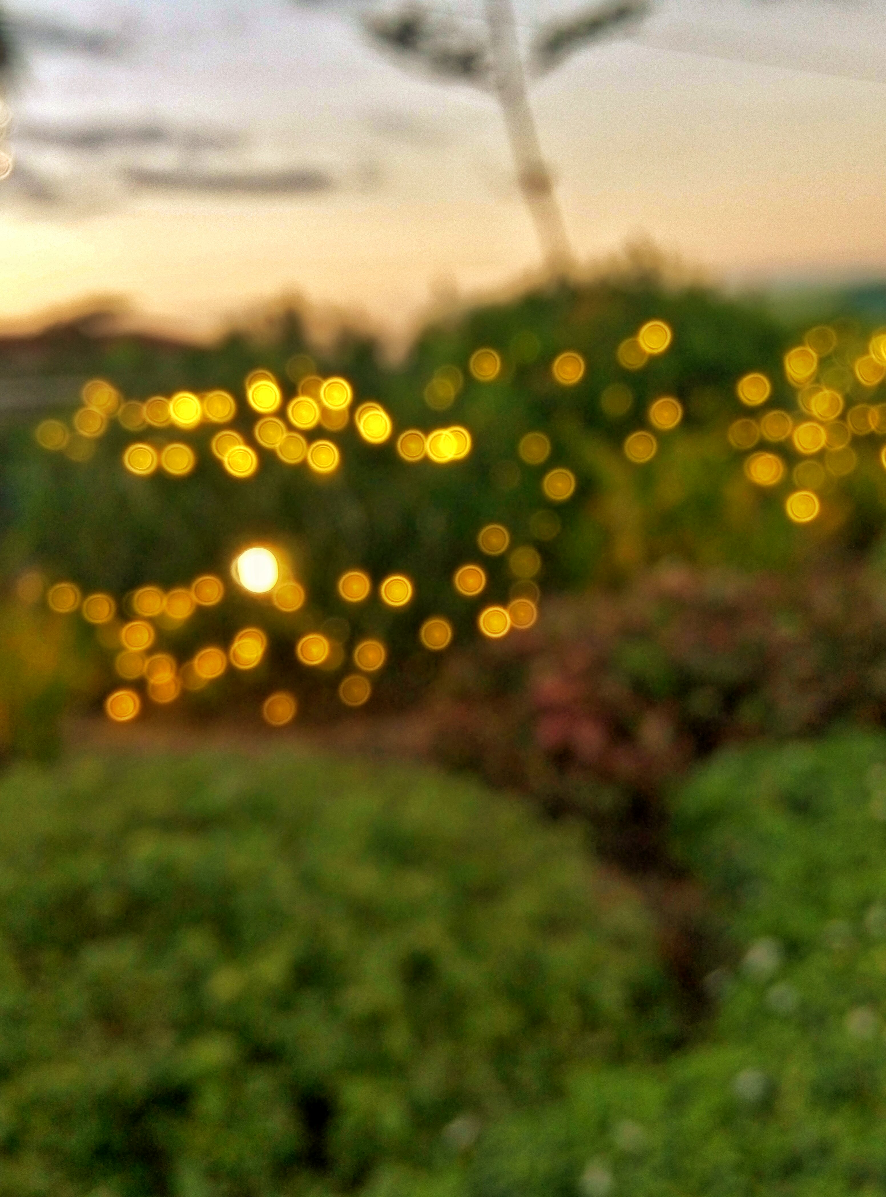 SG24_7's profile banner image