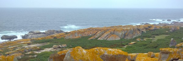 GemmaSimnMas Profile Banner