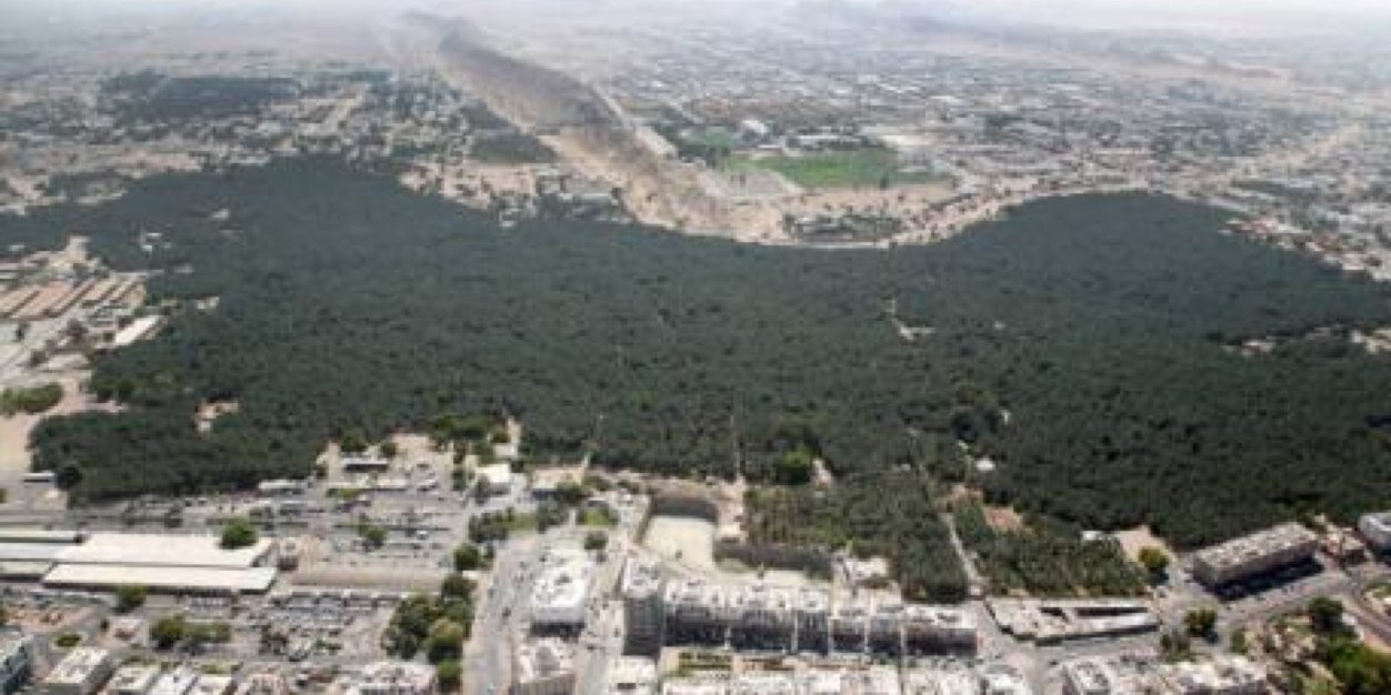 omarAlshaiba's profile banner image