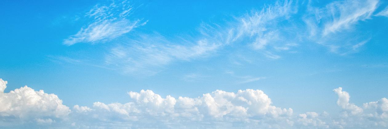 Amanda J Williamson banner