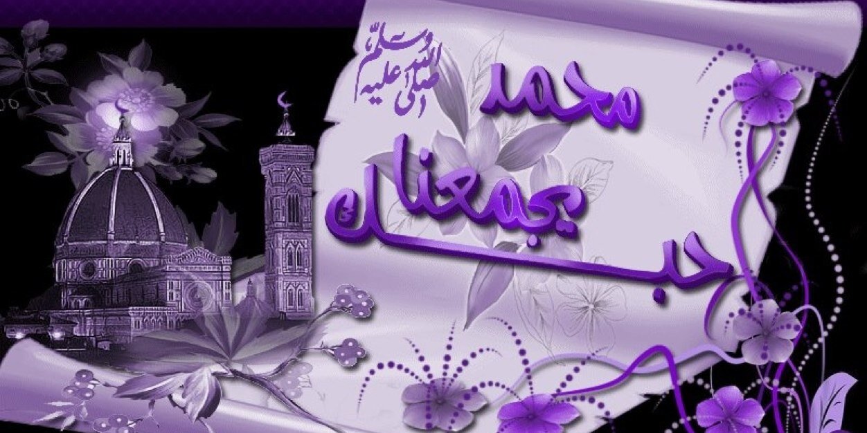 n_saedi's profile banner image