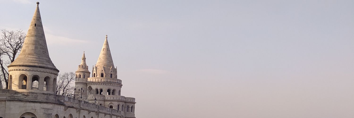 _salolo's profile banner image