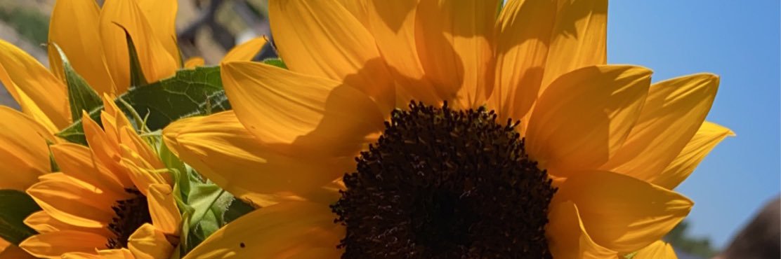_emm29's profile banner image