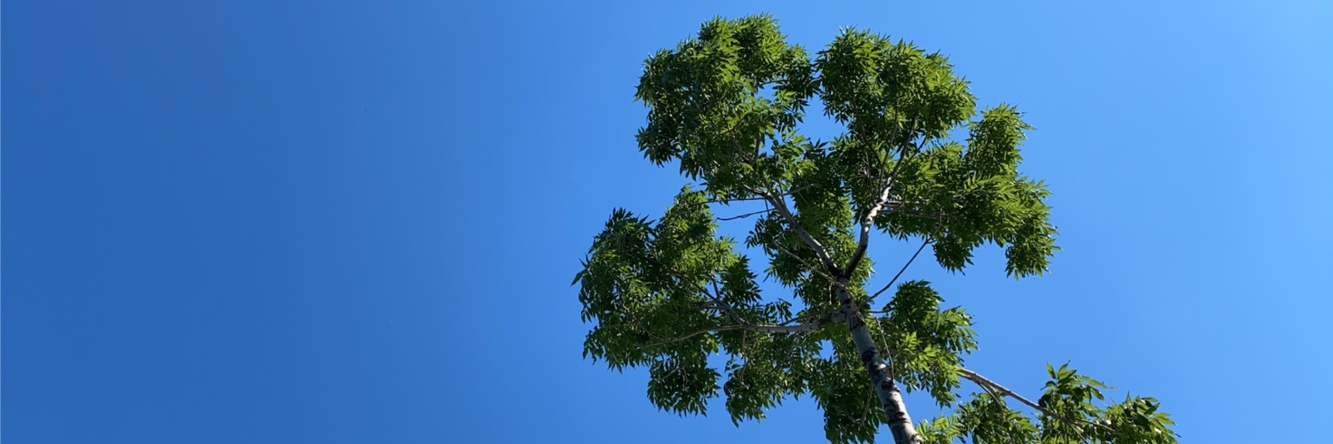 serraaydinnn's profile banner image
