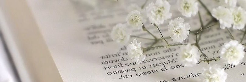 Eℓιχir banner