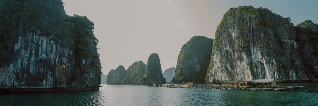 shitaljitbloom's profile banner image