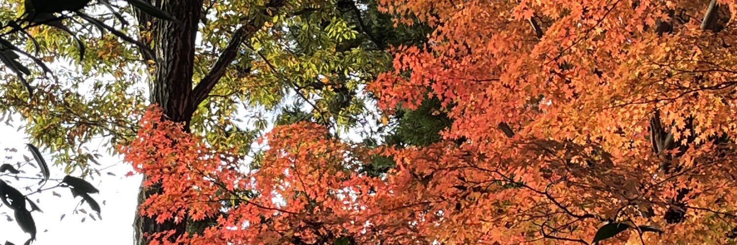 kiyo_nerd's profile banner image