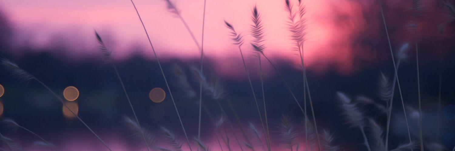 gianasgran's profile banner image