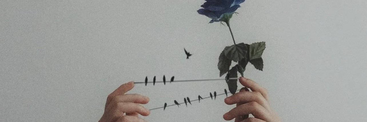 meryemdarcan's profile banner image
