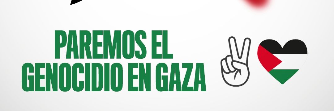 Maria Jesus Amate 🔻 banner