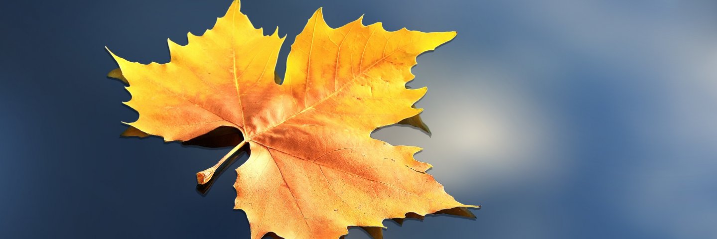 Sumitmalik19's profile banner image
