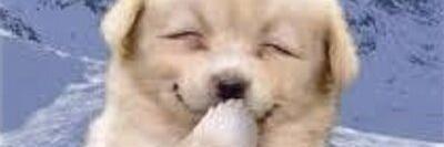 BearFunnyComedy's profile banner image