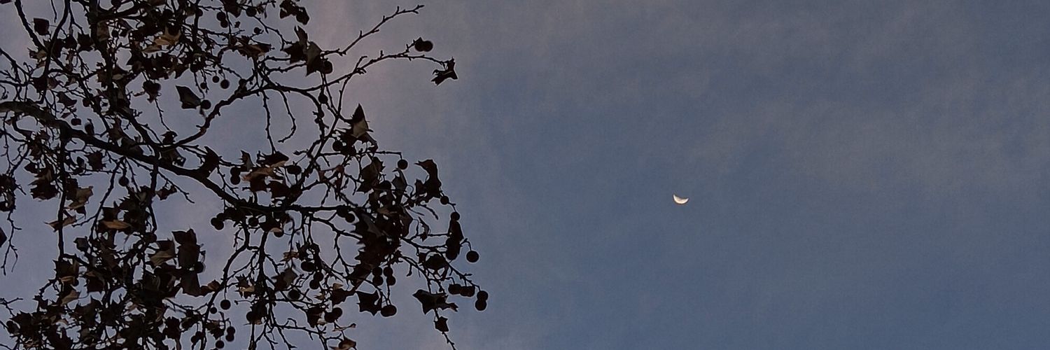 lua banner