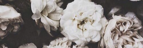 Grace banner