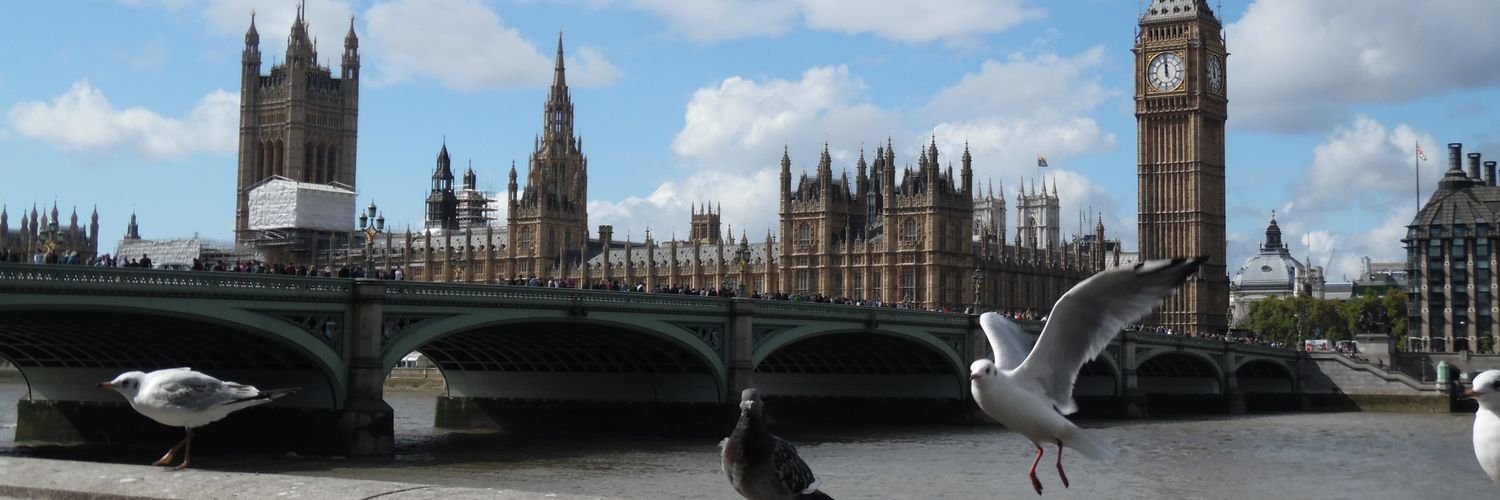 PattiLue's profile banner image