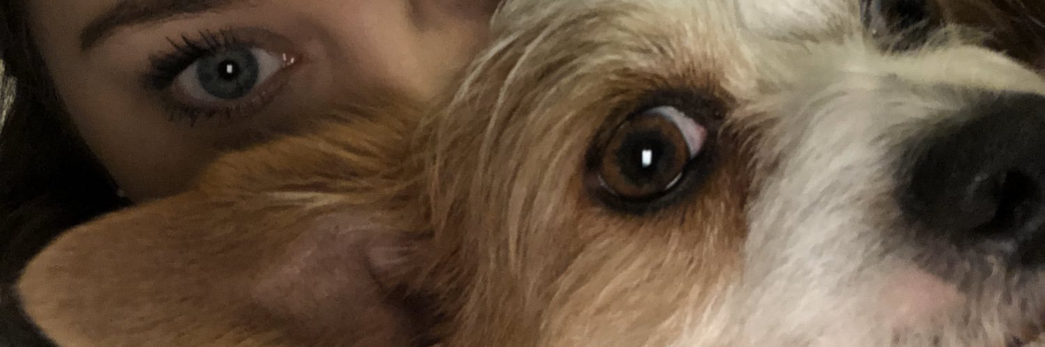 ˗ˏˋemˊˎ˗ banner