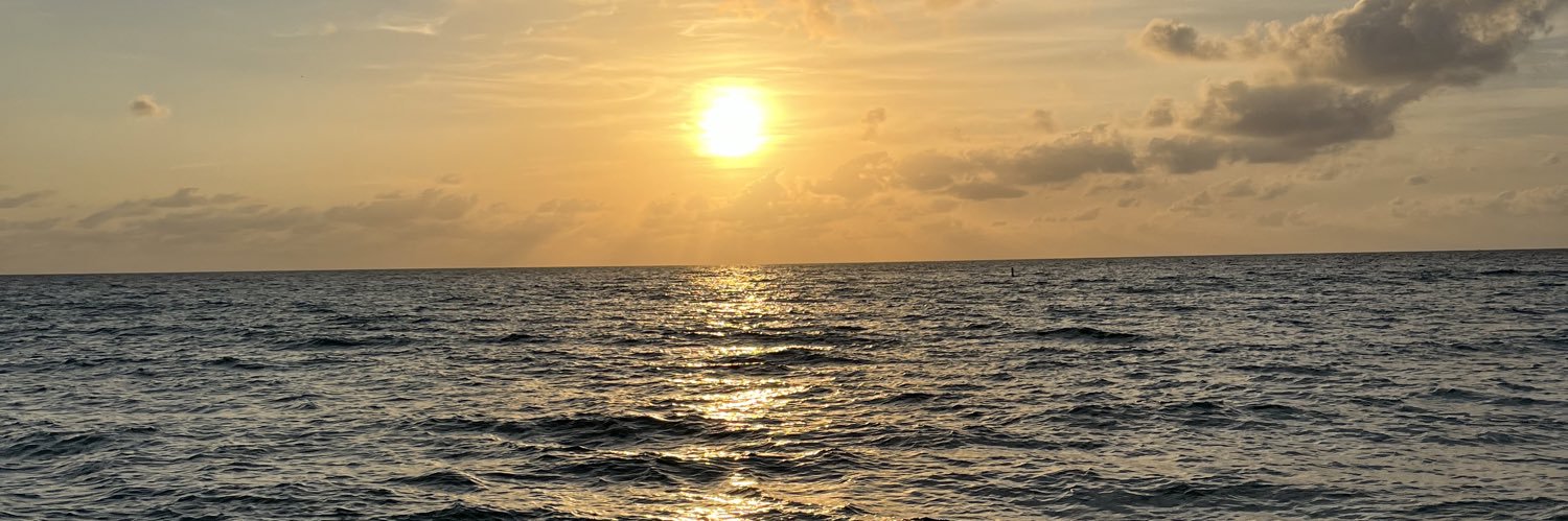 callitatec's profile banner image