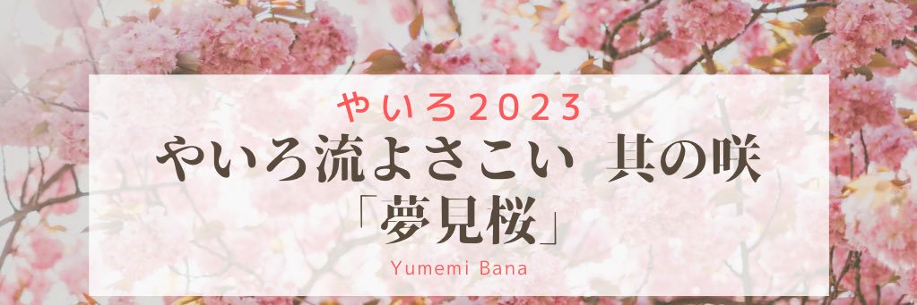4351yairo's profile banner image
