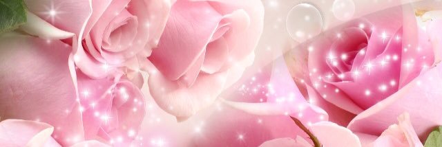 PinkEligio's profile banner image