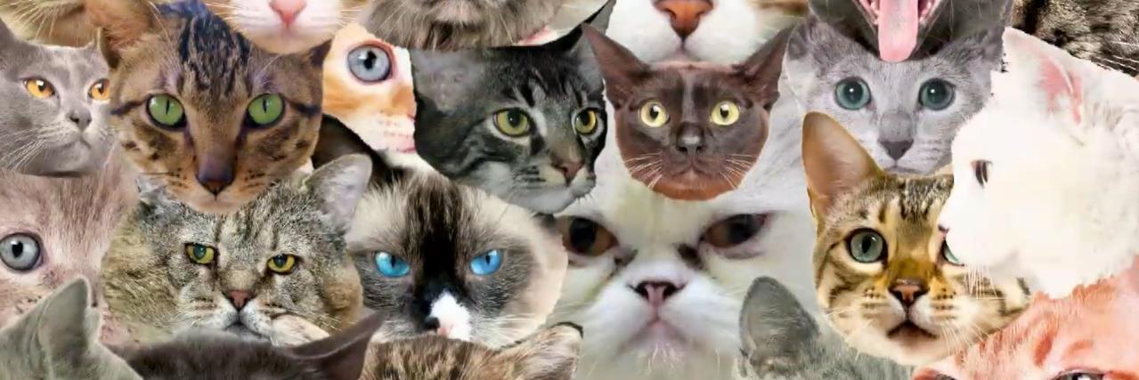 Mantorok's profile banner image