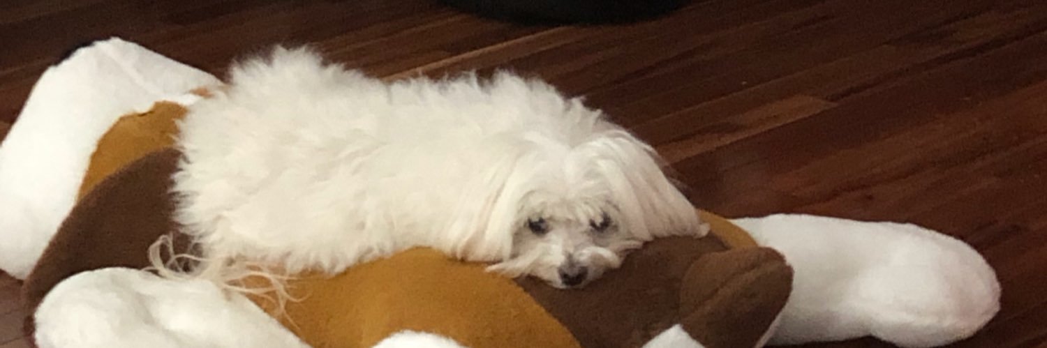 pegswink's profile banner image