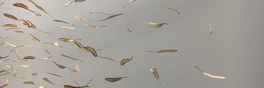 Susana Díaz Muguía banner