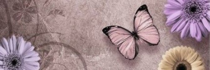yeseniabbb's profile banner image
