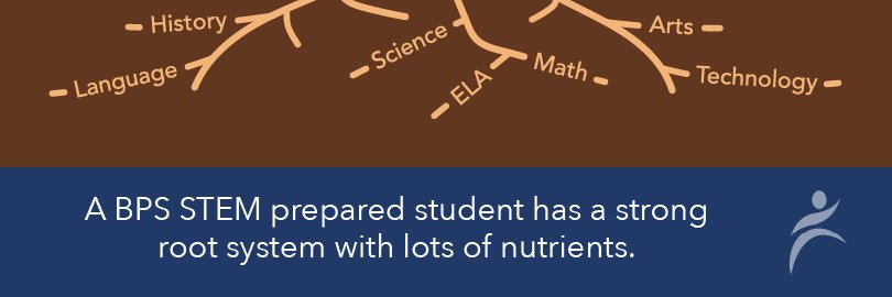 Elizabeth Milewski banner