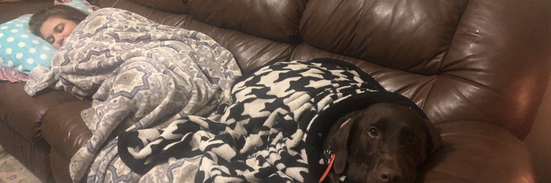 DNTDanielle's profile banner image