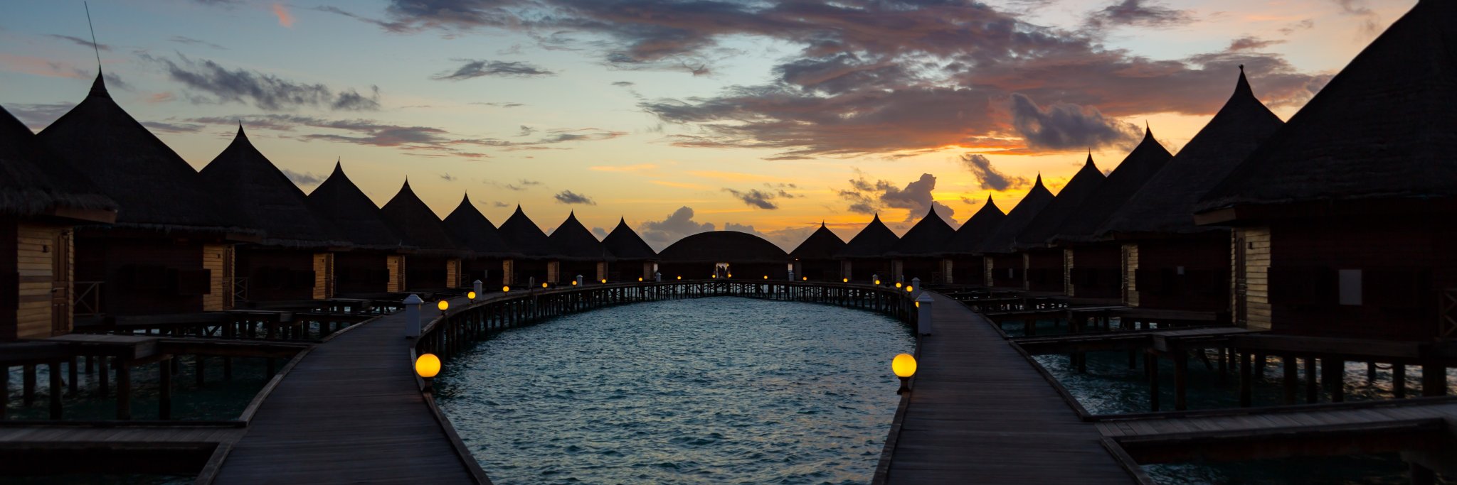 ただの養蜂家だ🐝🇺🇦 banner