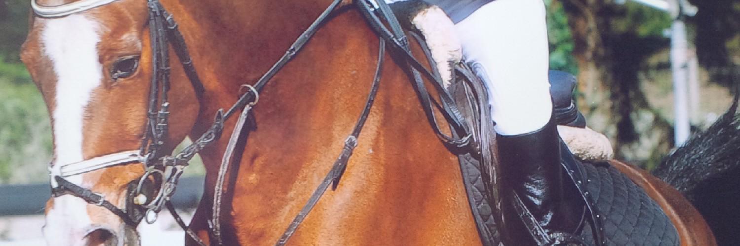 EnioPanzieri's profile banner image