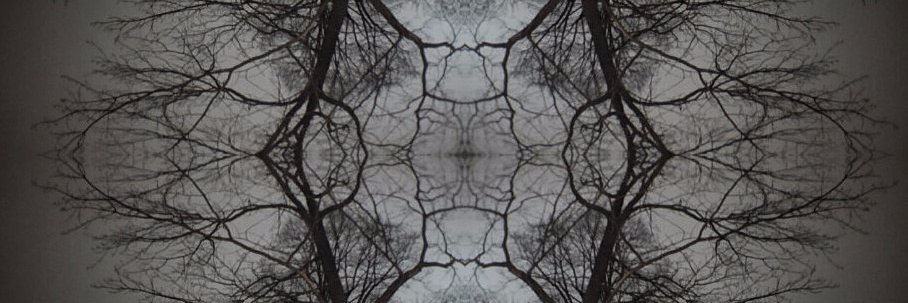 Roman_skamnem's profile banner image