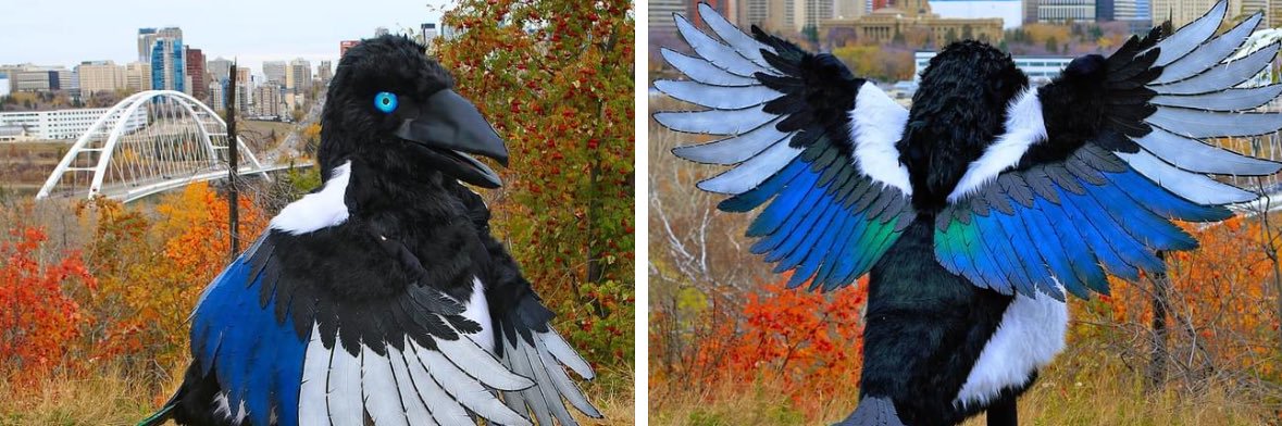 Lauren Hunter banner