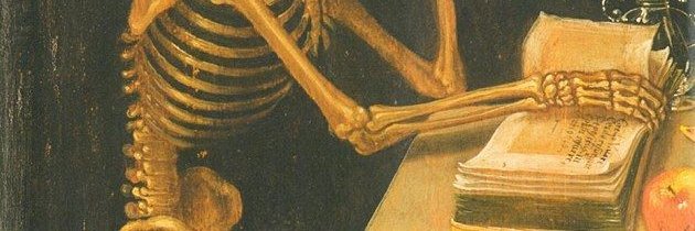 argiegin's profile banner image