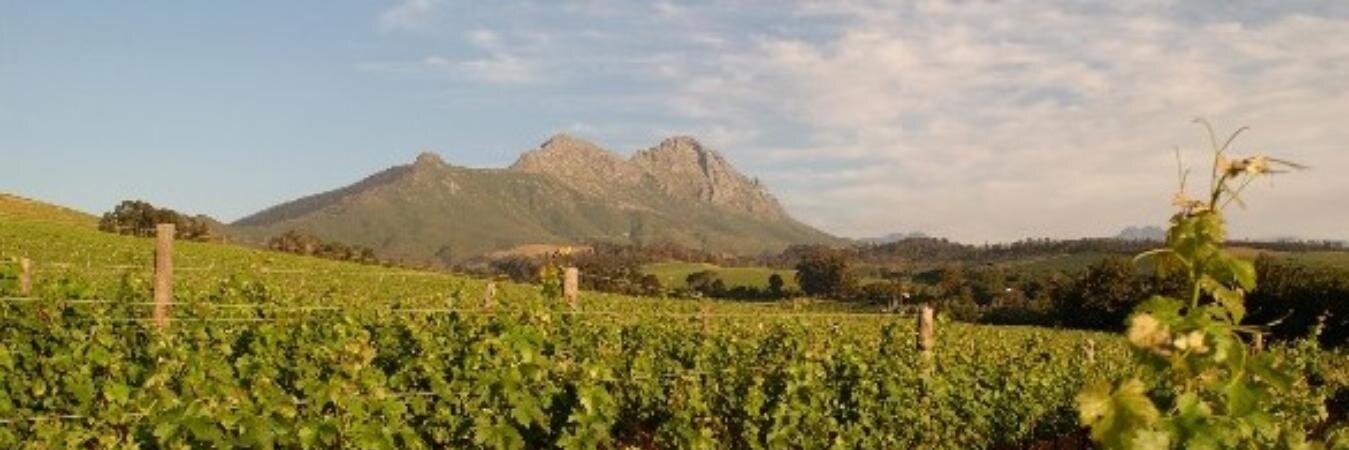 worldwinesweb's profile banner image