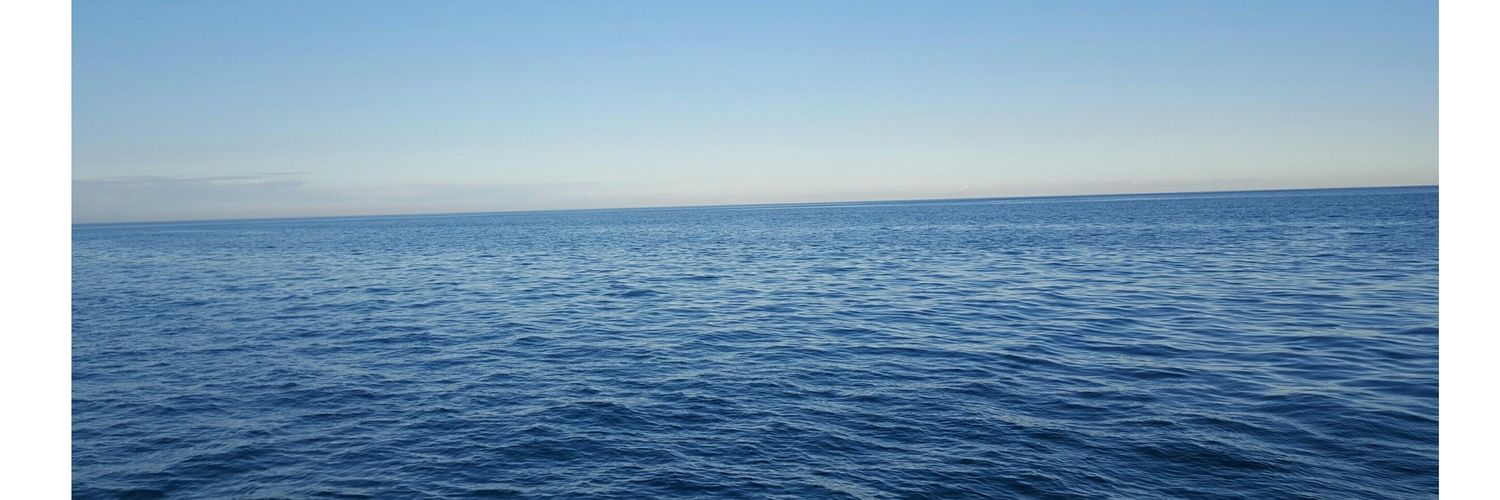 MaddiTrevisan's profile banner image