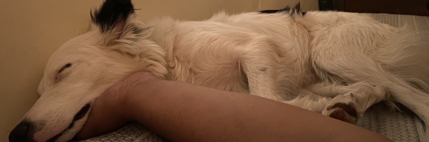 xxxandera's profile banner image