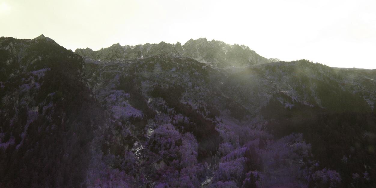 fANNIEpack22's profile banner image