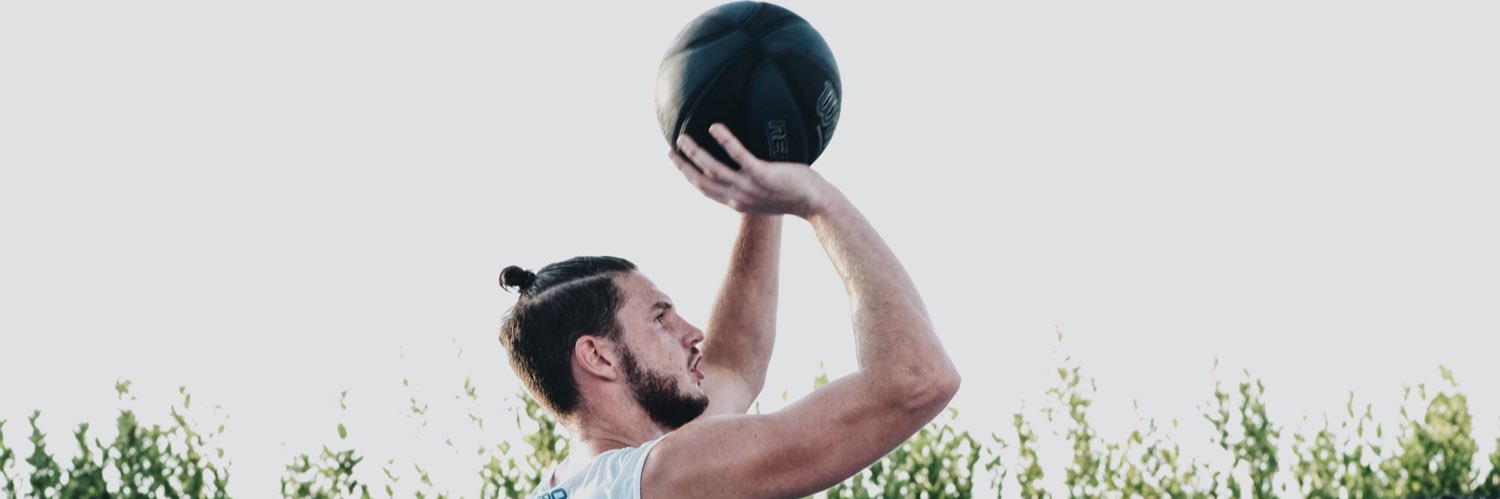 Federico Gallinari banner