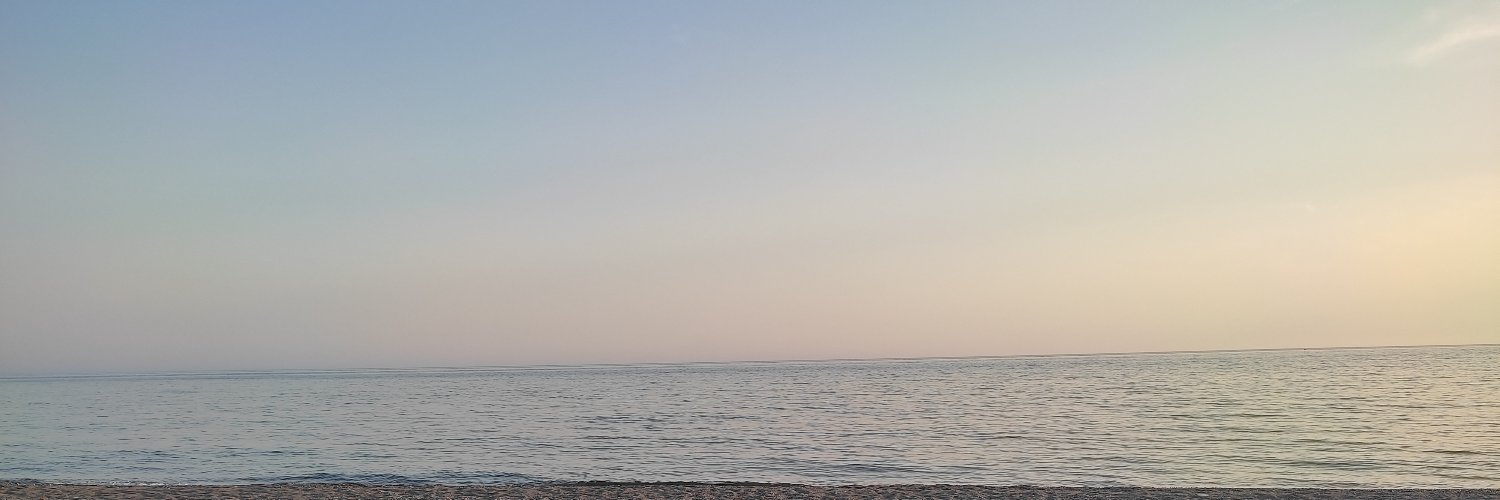 soldeespinas's profile banner image