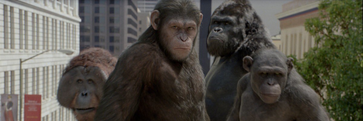 MsLawson47's profile banner image
