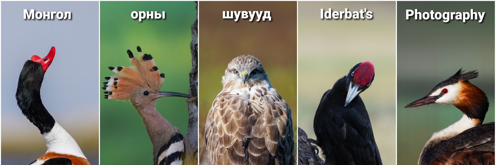 Iderbate's profile banner image